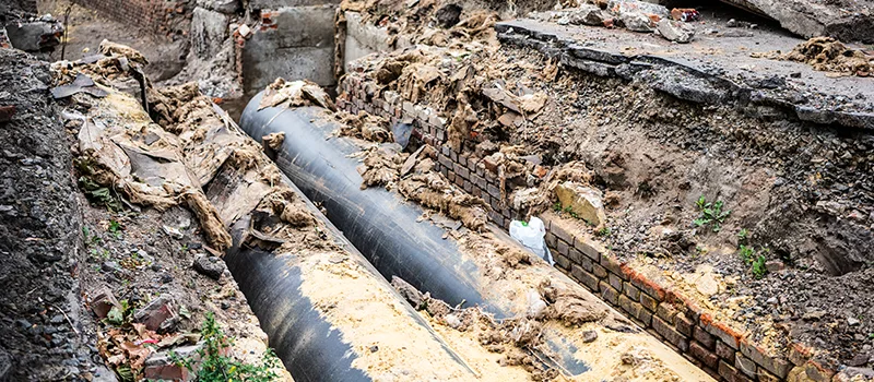 Commercial Sewer Tree Roots Damage Solutions in East York, Toronto